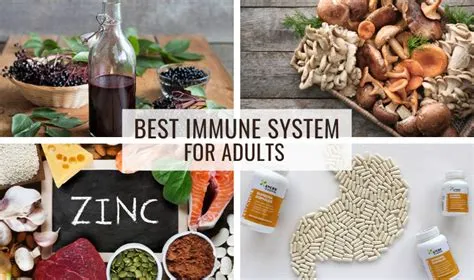 Unlocking Your Inner Fortress: A Deep Dive into Mental Fitness Apps